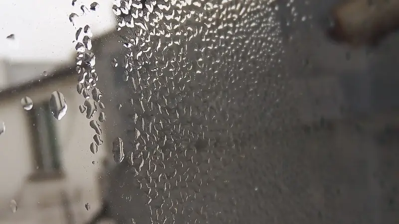 Condensation droplets on the inside of a window pane, a sign of a drafty or poorly sealed window